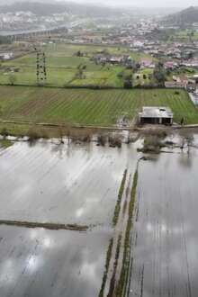 CAP pede apoio específico para agricultores afetados pelo mau tempo. Ministro garante que vai haver dinheiro